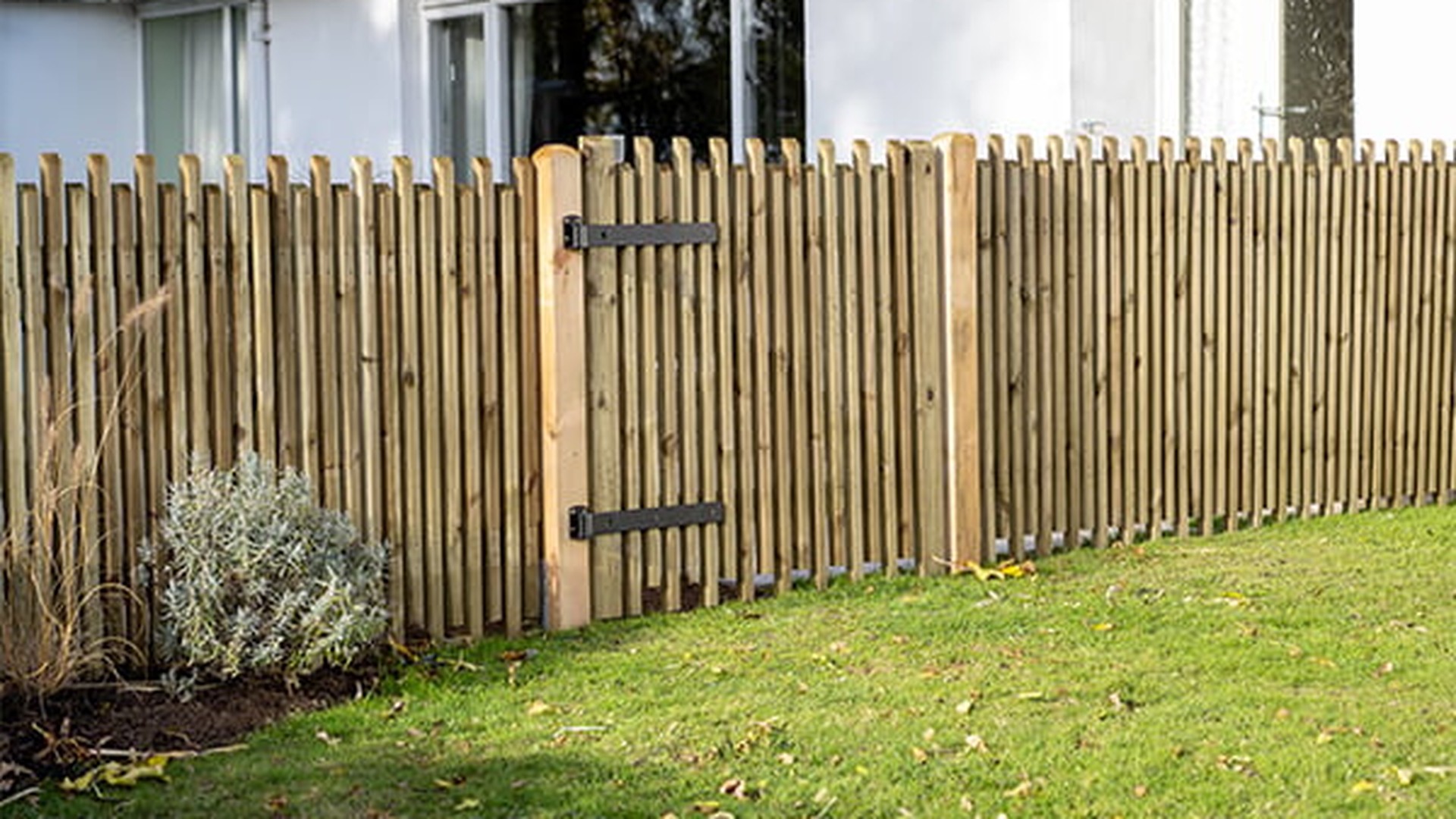 Garden Gate & Fencing