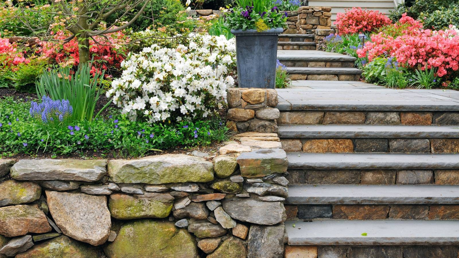 Retaining Wall & Steps
